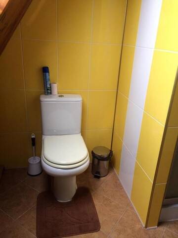 Фото номера Большой двухместный номер с 1 кроватью Гостевой дом Guest house on Ivana Franka г. Novyye Petrovtsy 8